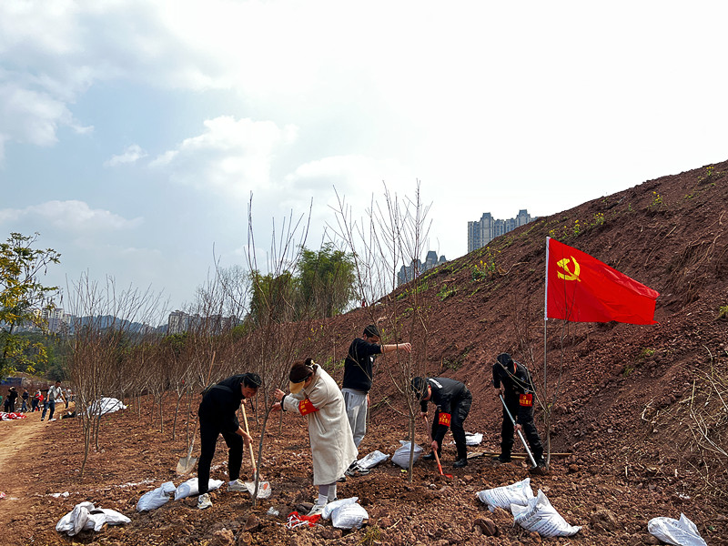 植树运动 (2).JPG